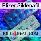 Pfizer Sildénafil new02